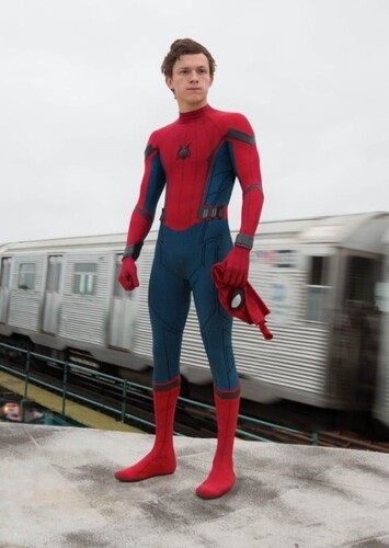 Peter Parker (Earth-199999)