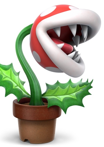 Petey Pirahna / Pirahna Plant