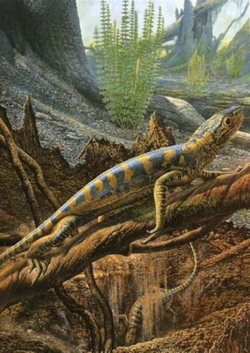 Petrolacosaurus