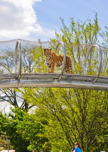 Philadelphia Zoo