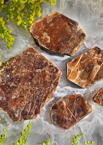 Phlogopite