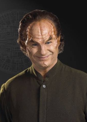 Phlox