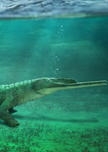 Phytosaurus