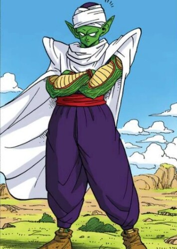 Piccolo