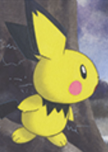 Pichu / ピチュー