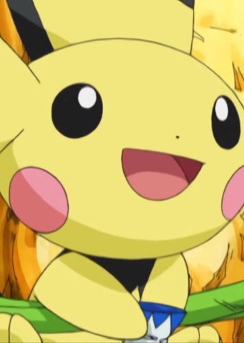 Pichu Bros. (left)