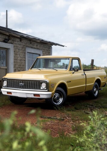 Pickup Truck 4