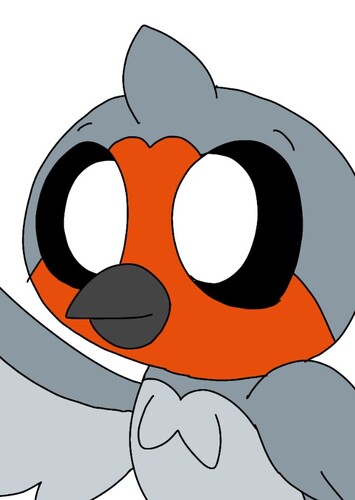 Pico the Robin