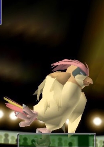 Pidgeot