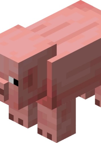 Pig