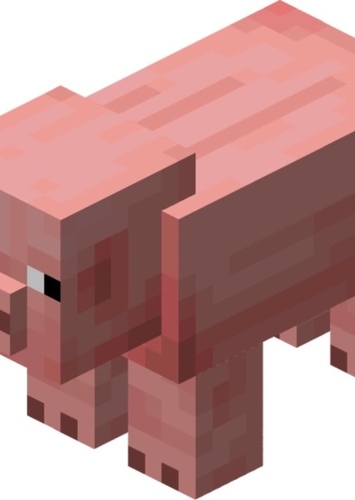Pig