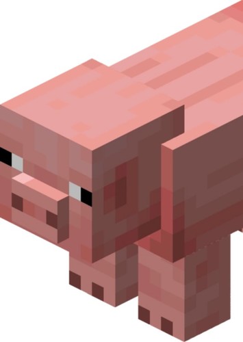 Pig