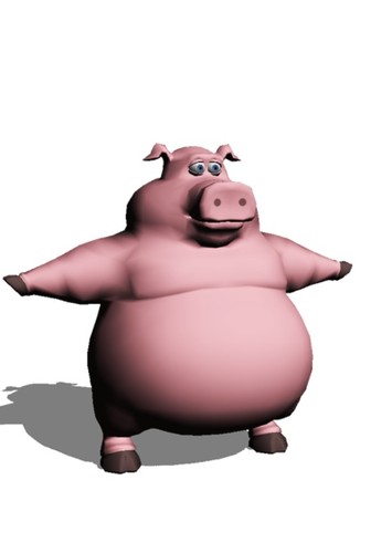 Pig