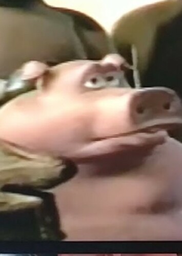 Pig