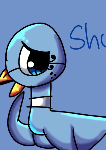 Pigeon