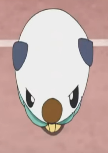 Ann's Oshawott (English Dub)