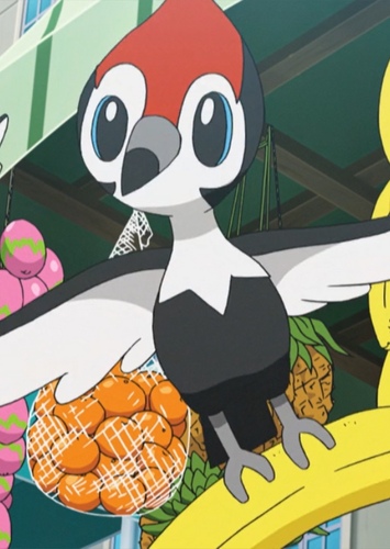 Pikipek