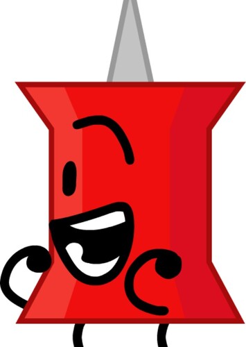 Pin