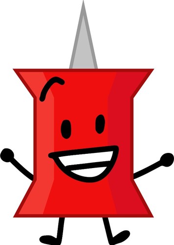 Pin