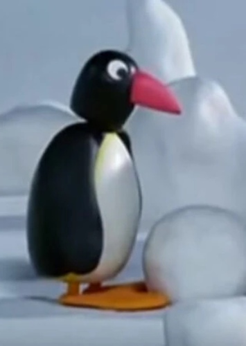 Pingo