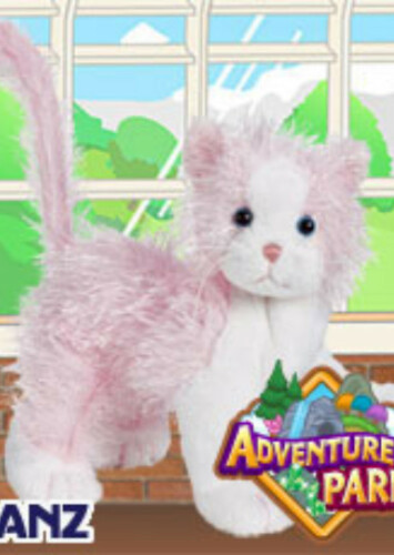 Pink and White Cat