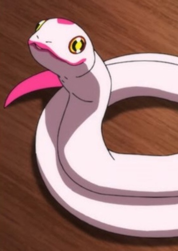 Pinky