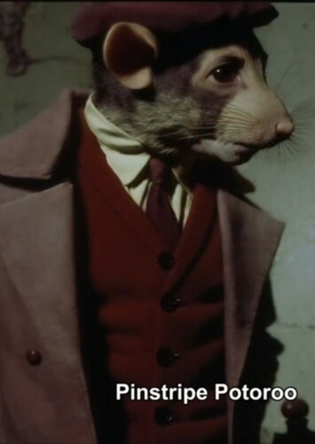 Pinstripe Potoroo