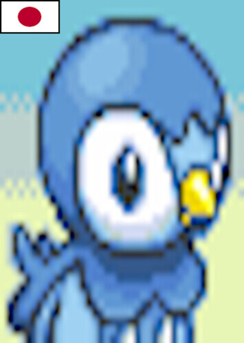 Piplup (Japanese)