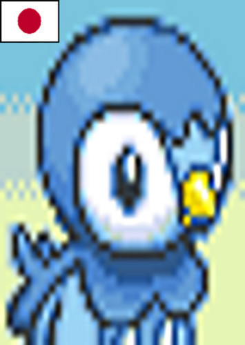 Piplup (Japanese Dub)