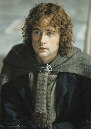 Pippin