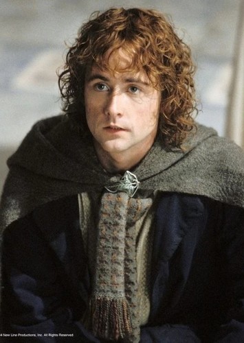 Pippin Took