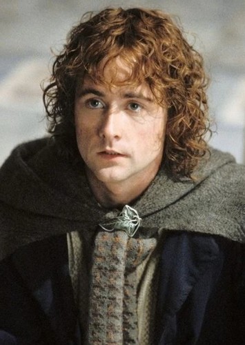Pippin Took