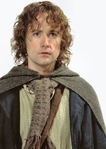 Pippin Took