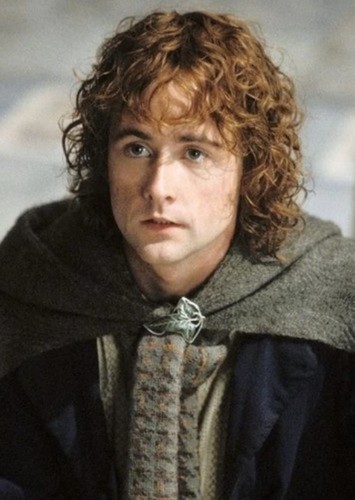 Pippin Took