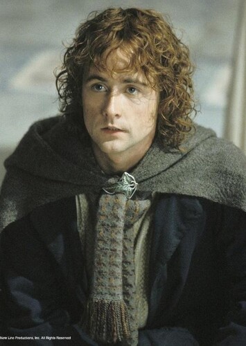 Pippin Took