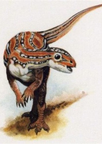 Pisanosaurus
