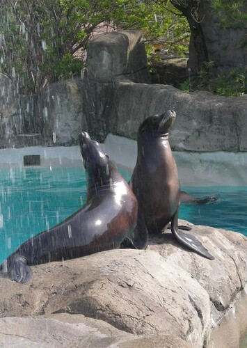 Pittsburgh Zoo and Aquarium