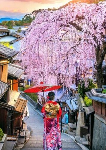 Place: Tokyo, Japan