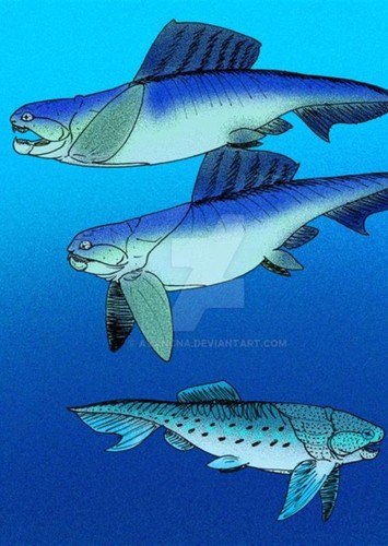 Placoderms
