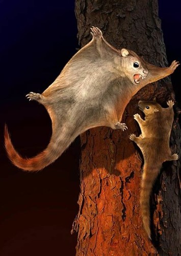Planetetherium
