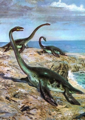 Plesiosaurus