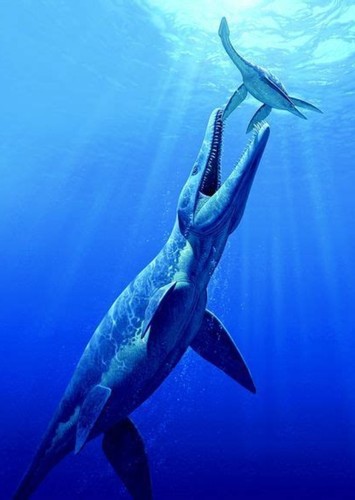 Pliosaurs