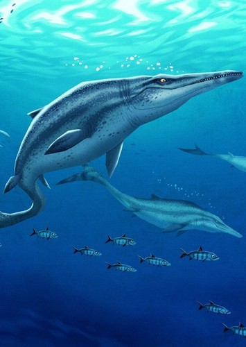Plotosaurus