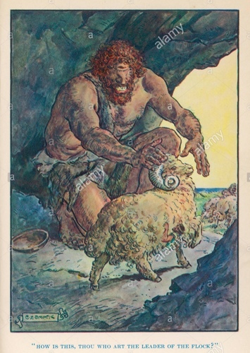 Ployhemus