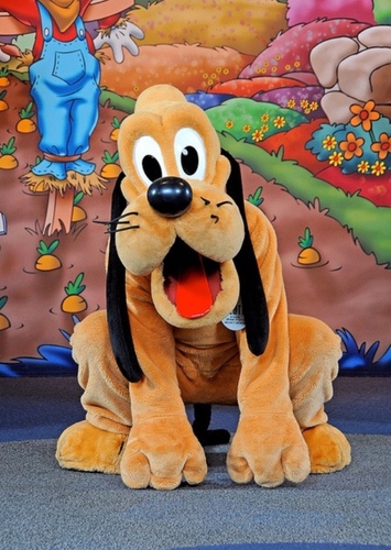Pluto