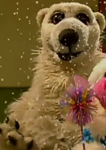 Polar Bear