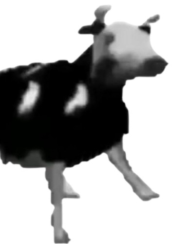 Polish Cow