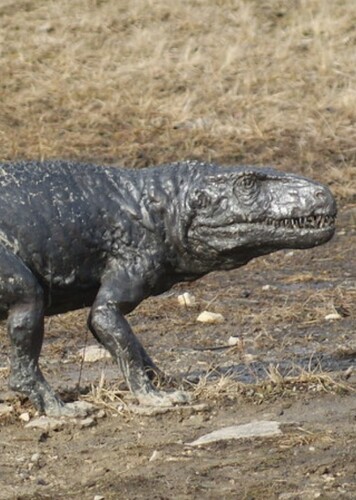 Polonosuchus