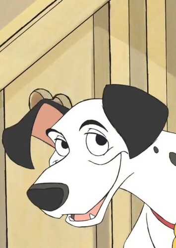 Pongo