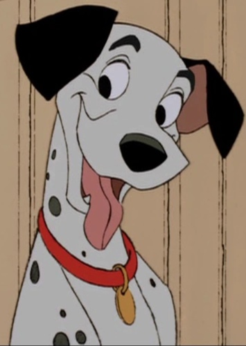 Pongo